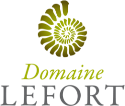 Domaine lefort y et rully logo300